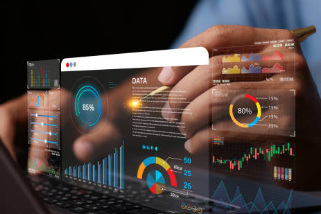 data analyst